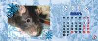Календарь с крысами. Нажмите чтобы посмотреть побольше в новом окне